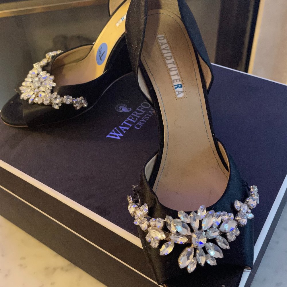 David Tutera Beautiful Satan De Orday Pumps